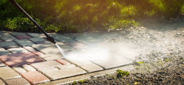 Animal Enclosure Cleaning in Mount Ephraim, NJ
